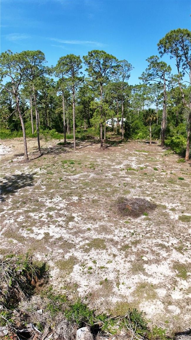 2005 Columbus Ave, Home with 0 bedrooms, 0 bathrooms and null parking in ALVA FL | Image 7