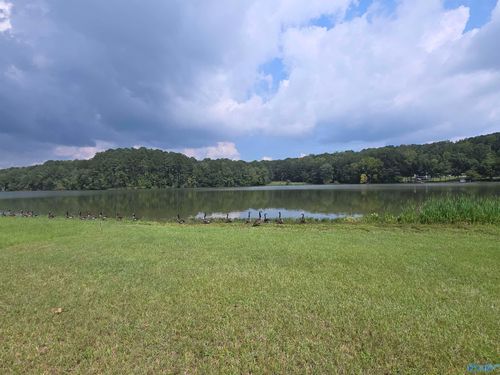 Lot 13 County Road 92, Cedar Bluff, AL, 35959-2370 | Card Image