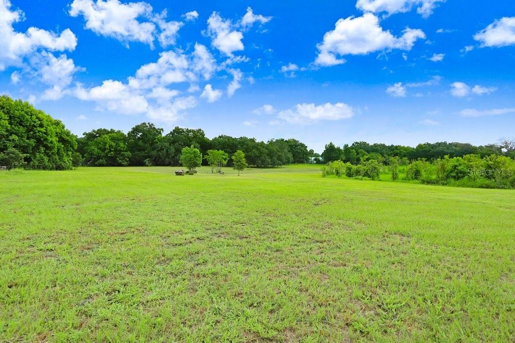 Land in DADE CITY