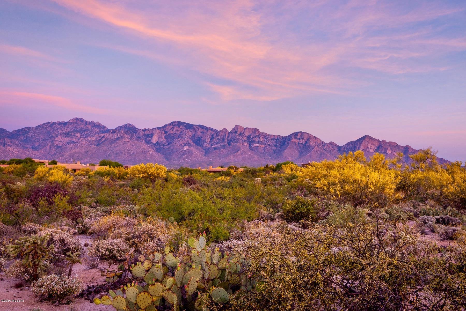 Shimmering Sand Pl, Oro Valley, AZ 85755