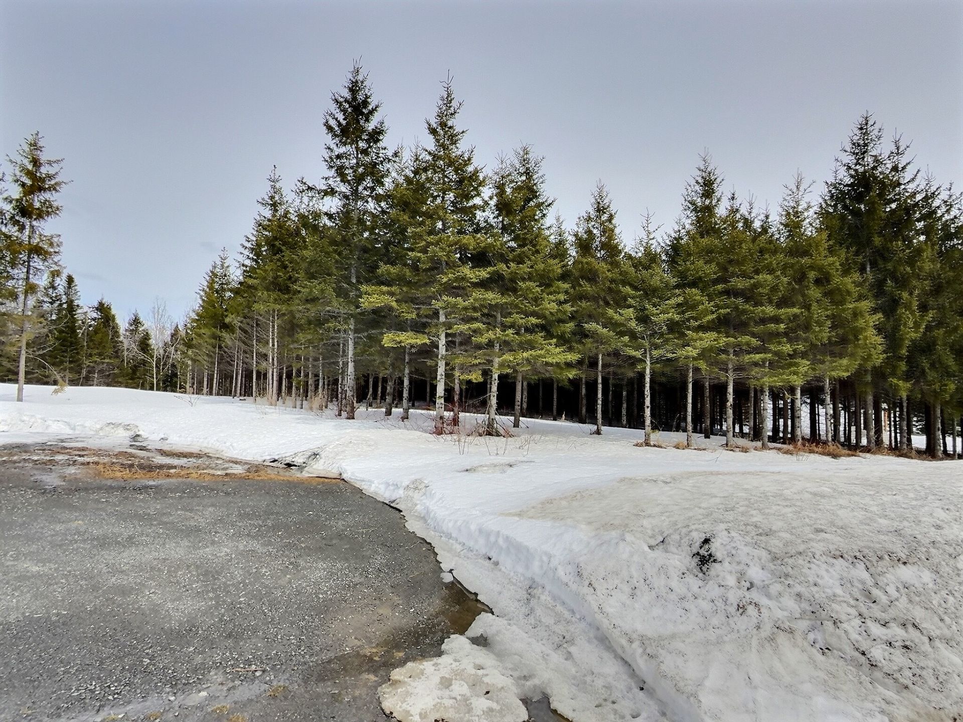 Land in Saint-Marcellin 2