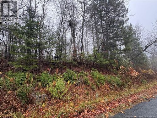 1 St David Ridge Rd, Oak Bay, NB, E3L4P5 | Card Image