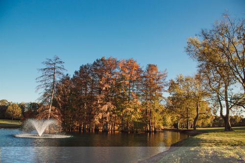 1603 Boutwell Rd, Perry, GA, 31069-8732 | Card Image