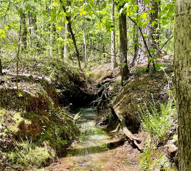 Creek | Image 35
