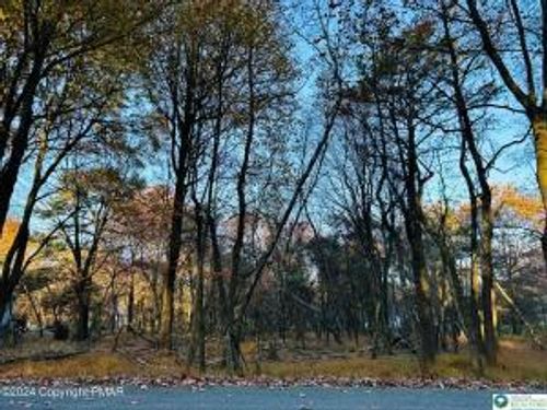 1807 Penn Forest Dr, Albrightsville, PA, 18210 | Card Image