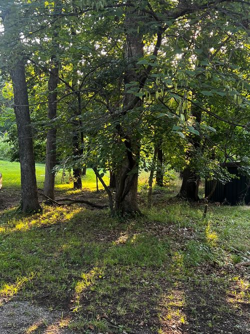 Lot 27 Circle Drive, Monkey Island, OK, 74331 | Card Image