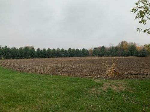 TBD Harrison Ave Ne, Racine, MN, 55967 | Card Image