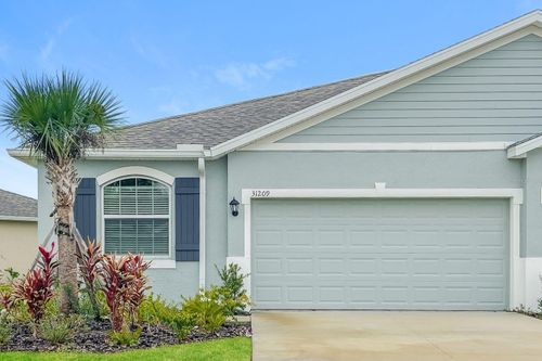 31209 Mango Fade Way, SAN ANTONIO, FL, 33576-4684 | Card Image