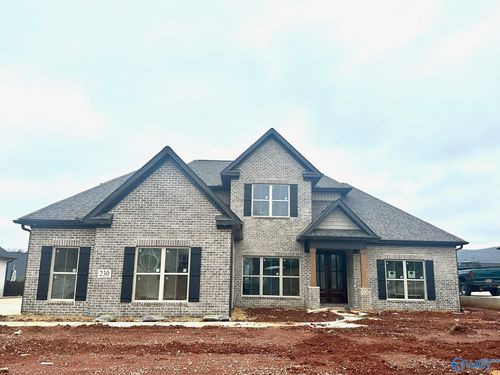 230 Oakland View Dr, Brownsboro, AL, 35741-8705 | Card Image