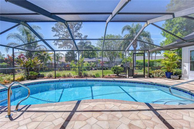 Pool - Screened Lanai | Image 33