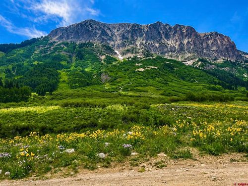 TBD Gothic Ave, Crested Butte, CO, 81224 | Card Image