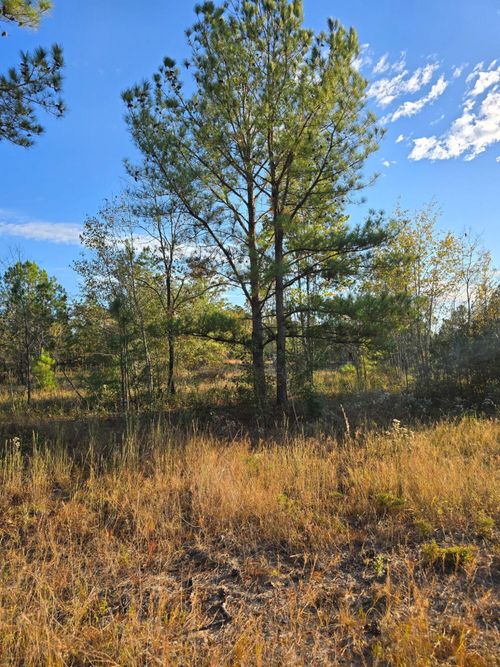 Tbd Hamilton Branch Way, Aiken, SC, 29803 | Card Image