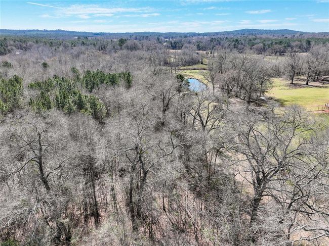 00 E Highway 315, Home with 0 bedrooms, 0 bathrooms and null parking in Mount Enterprise TX | Image 13
