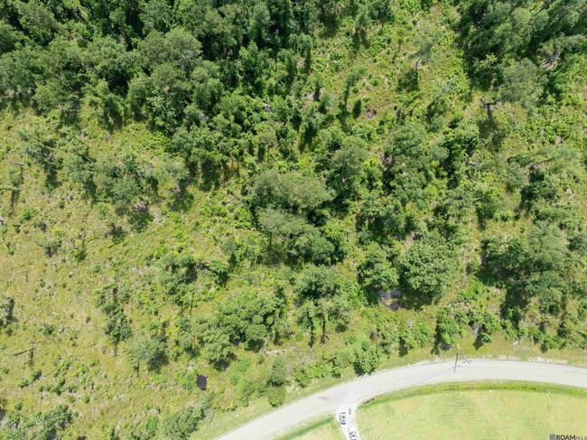 Lot 2-F Lost Oak Ln, Home with 0 bedrooms, 0 bathrooms and null parking in Livingston LA | Image 5