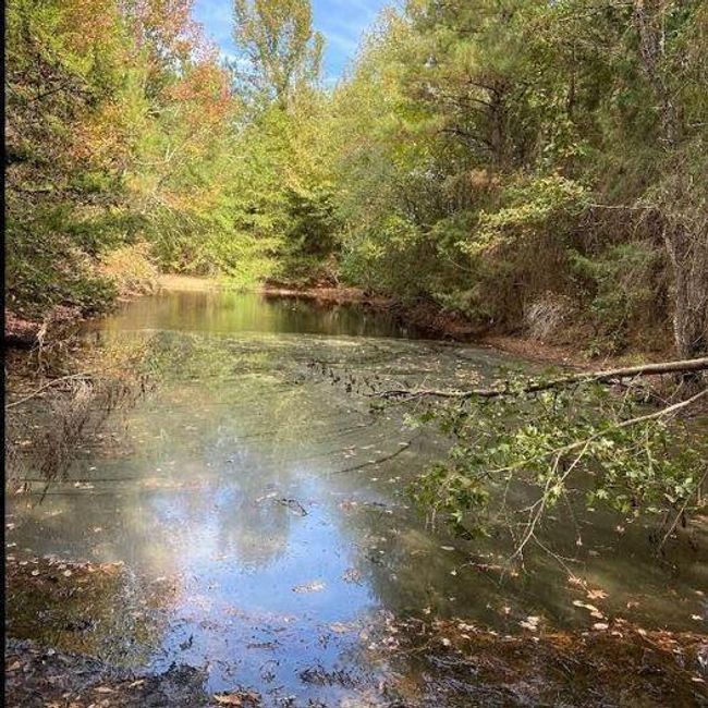 small pond on property | Image 8
