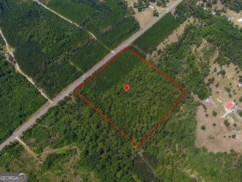 9.01 ACRES Livingston Farm Road, Mcrae-Helena, GA, 31055 | Card Image