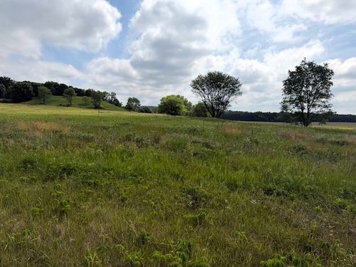 Lot 2 County Rd F, Boyceville, WI, 54725 | Card Image