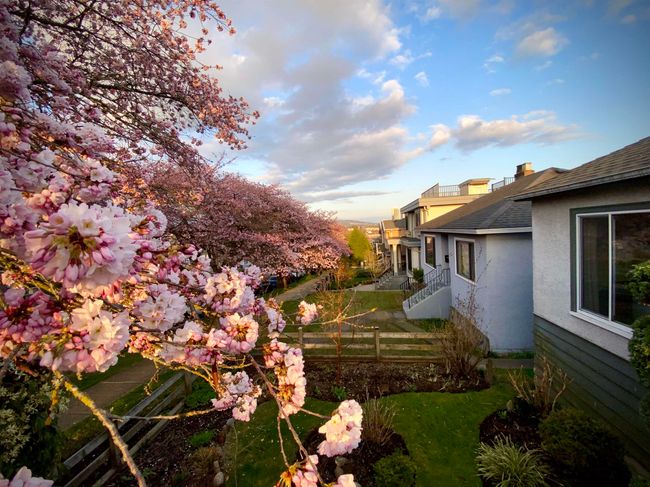 3114 Graveley St, House other with 4 bedrooms, 2 bathrooms and 1 parking in Vancouver BC | Image 5
