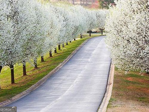 1818-0 Early Red Pippin, Clarkesville, GA, 30523 | Card Image