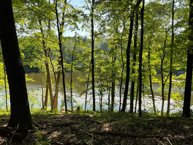 176 Picketts Ridge Rd, Home with 0 bedrooms, 0 bathrooms and null parking in Redding CT | Image 4