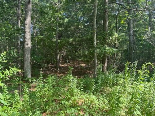 9 Estrella Ln, Teaticket, MA, 02536-5816 | Card Image