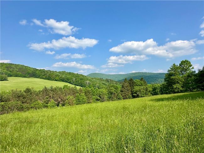 515 Delaware Ave, House other with 2 bedrooms, 1 bathrooms and null parking in Andes NY | Image 28