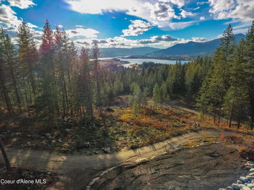 320 & NNA Towering Pines (11.25ac), Sagle, ID, 83860 | Card Image