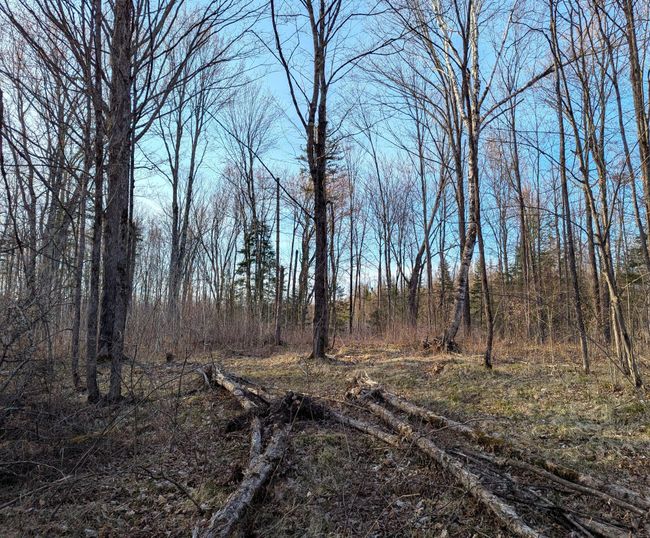 00 Cth X, Home with 0 bedrooms, 0 bathrooms and null parking in PRENTICE WI | Image 24