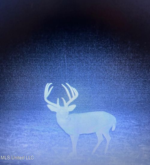 553 Murray Rd, Vicksburg, MS, 39183 | Card Image