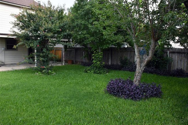 View of yard | Image 39