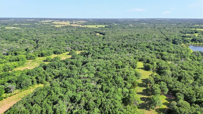 1052 Bones Chapel Rd, Home with 0 bedrooms, 0 bathrooms and null parking in Whitesboro TX | Image 4