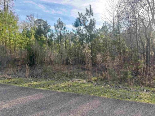 0 Shiloh Falls Ct, Counce, TN, 38326 | Card Image