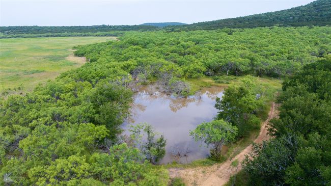 Drone / aerial view of a heavily wooded area and a large body of water | Image 30