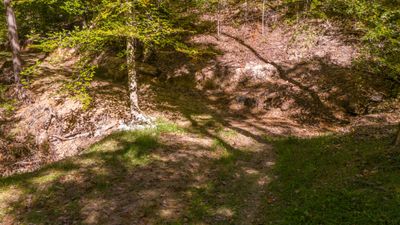 Some of the cleared trails across the property that are drivable | Image 3