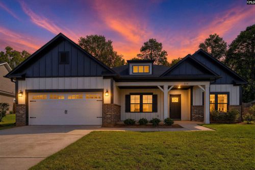 256 Murray Falls Ln, Chapin, SC, 29036-9874 | Card Image