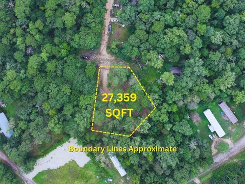 TBD Timbercove Ln, Shepherd, TX, 77371 | Card Image