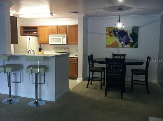 18235 - 18235 Bridle Club Dr, Condo with 2 bedrooms, 2 bathrooms and null parking in TAMPA FL | Image 9