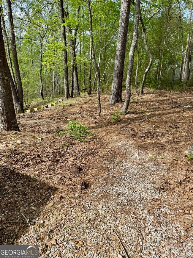 1037 County Road 43, Home with 0 bedrooms, 0 bathrooms and null parking in HEFLIN AL | Image 11