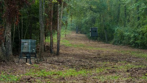 TBD County Road 354, Winona, TX, 75792 | Card Image