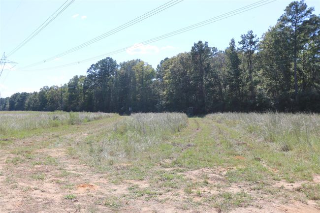 18156 State Highway 87 S, Home with 0 bedrooms, 0 bathrooms and null parking in Call TX | Image 9