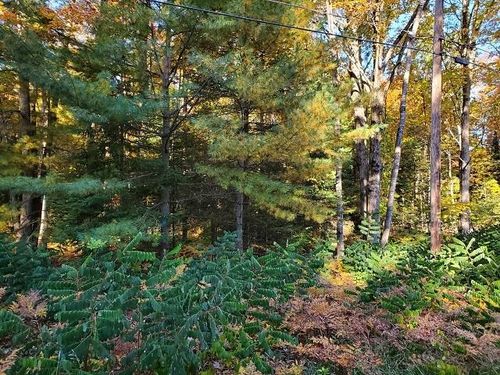 0 Scenic River Dr, Alger, MI, 48610 | Card Image