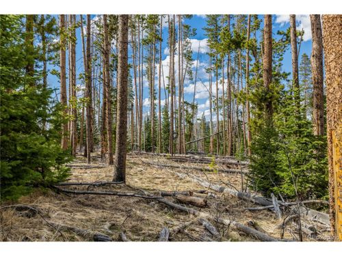 98 Station Way, Oak Creek, CO, 80467 | Card Image