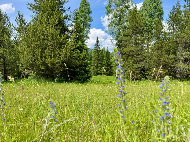 17 Twenty Peak Gulch Ln, House other with 2 bedrooms, 2 bathrooms and null parking in Trout Creek MT | Image 8