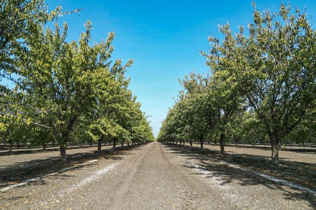 0 W Springfield Ave, Home with 0 bedrooms, 0 bathrooms and null parking in San Joaquin CA | Image 10