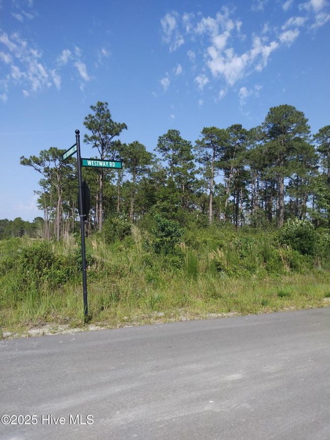 LOT ON CORNER OF FOX SQUIRREL AND WESTWAY RD ON PAVED RD | Image 4