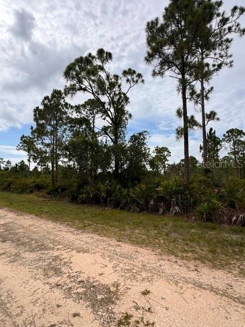 Land in PUNTA GORDA 2