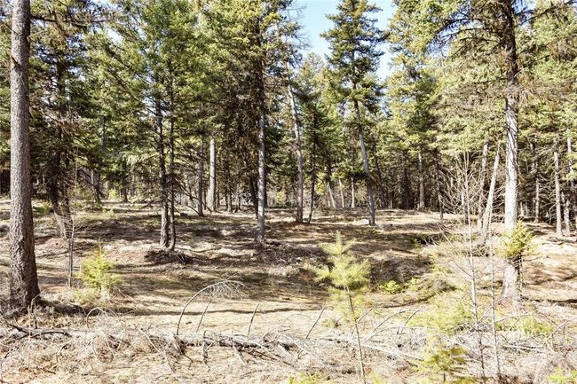 270 Tomahawk Trl, Home with 0 bedrooms, 0 bathrooms and null parking in Fortine MT | Image 12
