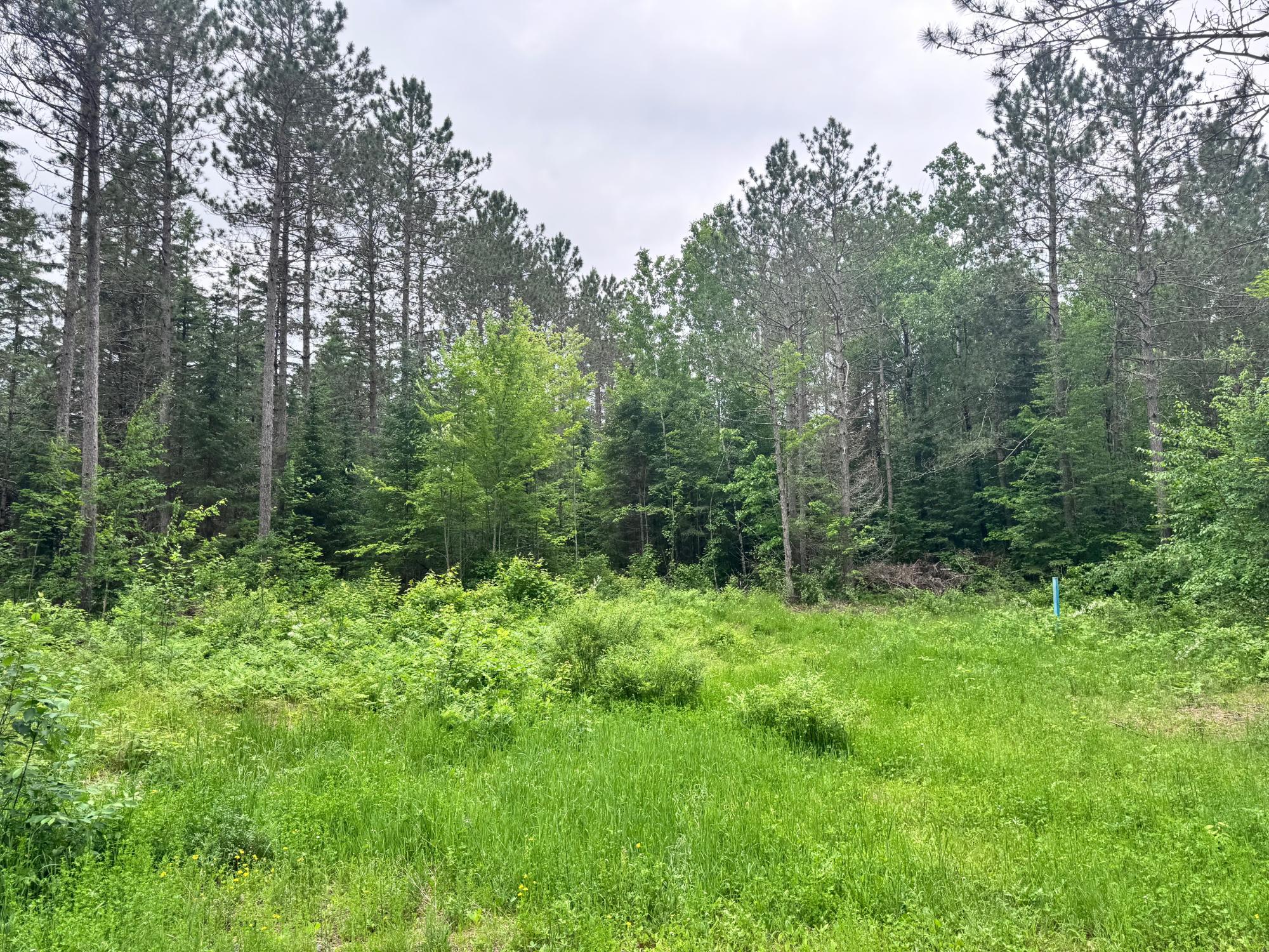 Land in Minocqua
