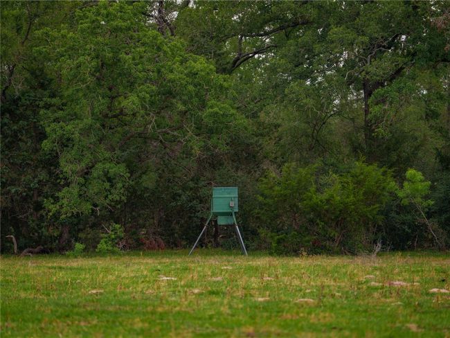 View of yard featuring a view of trees | Image 24