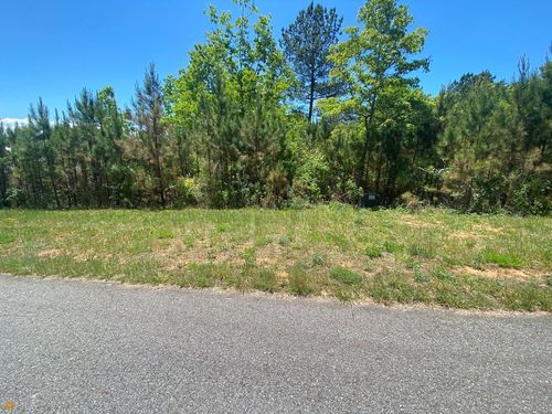 Lot 55 Village Loop, Blairsville, GA, 30512-1834 | Card Image